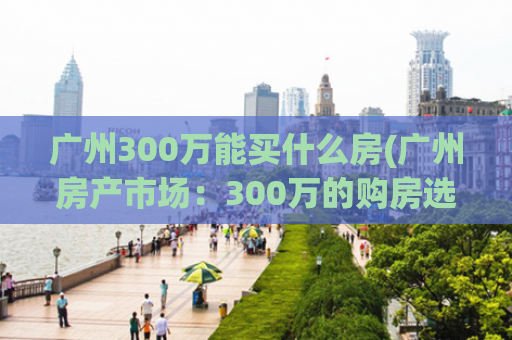 广州300万能买什么房(广州房产市场：300万的购房选择)