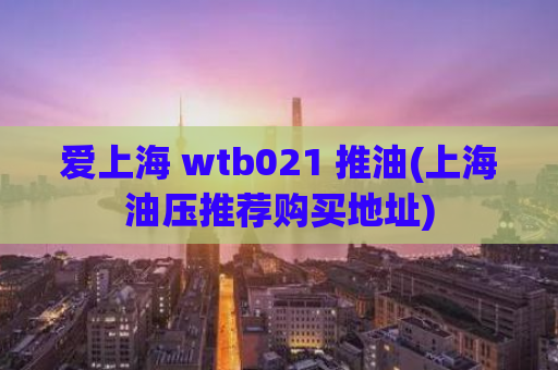 爱上海 wtb021 推油(上海油压推荐购买地址)